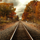 Illustration for article titled Trains Could Get Lasers To Burn Slippery Wet Leaves Off the Tracks
